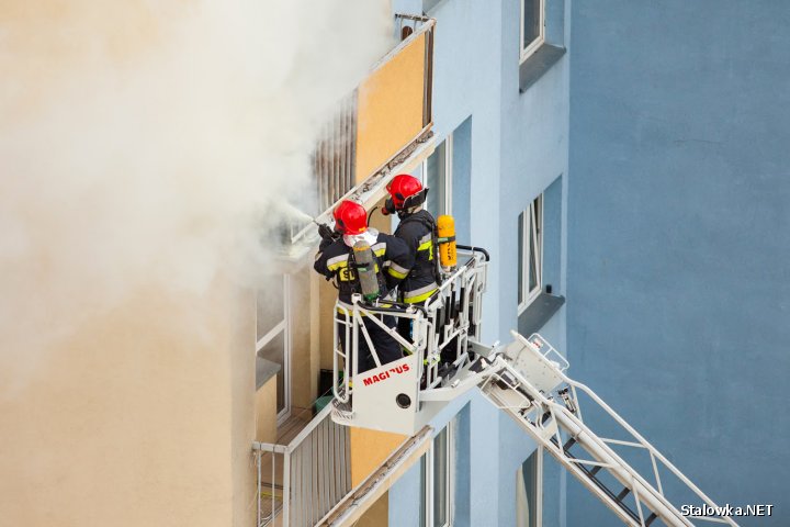 W momencie zdarzenia w mieszkaniu nie było żadnych osób. Przyczyną pożaru był prawdopodobnie pozostawiony niedopałek papierosa lub ewentualne podrzucenie go z piętra wyżej.