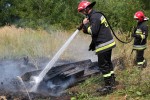 Przyczyną pożaru było prawdopodobnie zaprószenie ognia. Spaleniu uległo około pół hektara traw i nieużytków na kilku posesjach.