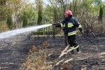 Przyczyną pożaru było prawdopodobnie zaprószenie ognia. Spaleniu uległo około pół hektara traw i nieużytków na kilku posesjach.