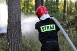 Spaleniu uległo około 2 hektarów lasu. Pożar został szybko zlokalizowany a sytuacja opanowana.
