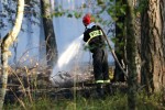 Spaleniu uległo około 2 hektarów lasu. Pożar został szybko zlokalizowany a sytuacja opanowana.