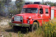 Na miejsce zadysponowano 4 wozy bojowe straży pożarnej oraz wóz dowodzenia. Dojazd do płonących lasów utrudniał piaszczysty, pagórkowaty teren.