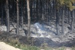 Zabudowa oraz las zostały obronione przed ogniem. Trwa dogaszanie pożaru oraz liczenie strat.