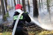 Spaleniu około 2 hektarów poszycia leśnego dorosłego lasu na terenie Nadleśnictwa Rozwadów.