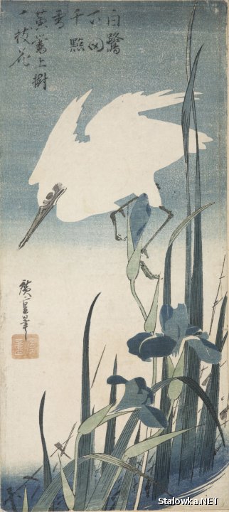 Utagawa Hiroshige, Czapla nad kwiatami irysów, drzeworyt barwny.