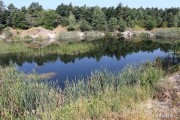 Około dwa miliony złotych będzie kosztować rekultywacja zbiornika wodnego kaczego doły na osiedlu Piaski. Miasto zamierza sięgnąć po środki z Regionalnego Programu Operacyjnego.