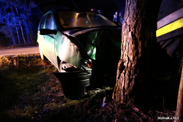 Auto wpadło w poślizg, zatrzymując się na drzewie.