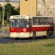 Stalowa Wola: Dwie specjalne linie autobusowe na drogach Stalowej Woli