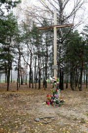 Tym razem spór toczy się o krzyż, który w lasku na osiedlu Młodynie został postawiony 27 lutego 2009 roku.