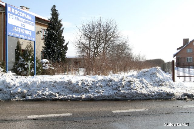 To właśnie w tym zagajniku przy trasie podskarpowej od kilku miesięcy przebywało stadko saren.